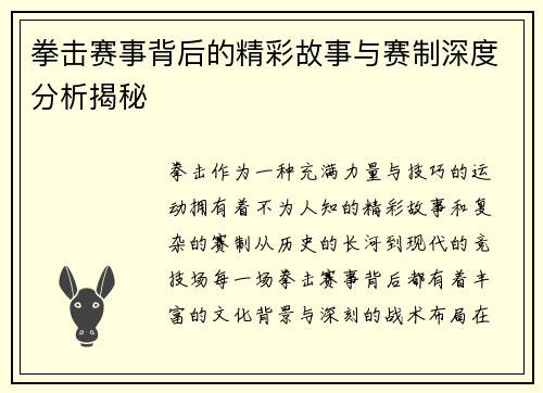 拳击赛事背后的精彩故事与赛制深度分析揭秘